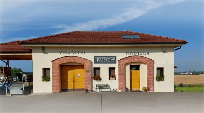 Ryzlink rýnský z Bzence posadil Vídeň na zadek. AWC VIENNA 2025 zná své vítěze