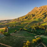 SVĚTOVÁ PRODUKCE VÍNA 2025 mírně vzrostla. Podobu sklizně znovu ovlivnily klimatické výkyvy Vinice v dramatické krajině regionu Stellenbosch v JAR