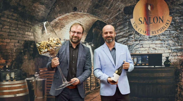 Viniční trať Niva Hrbatá zrodila ŠAMPIONA SALONU VÍN 2026. Zvítězil Scarabeus Tramín 2023 z Vinařství Škrobák z Čejkovic