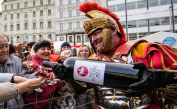 SVATOMARTINSKÉ SLAVÍ 20 LET. Vína 2025: svěží, hravá a z vyrovnaného ročníku