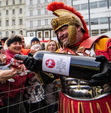 SVATOMARTINSKÉ SLAVÍ 20 LET. Vína 2025: svěží, hravá a z vyrovnaného ročníku