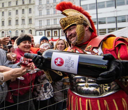 SVATOMARTINSKÉ SLAVÍ 20 LET. Vína 2025: svěží, hravá a z vyrovnaného ročníku