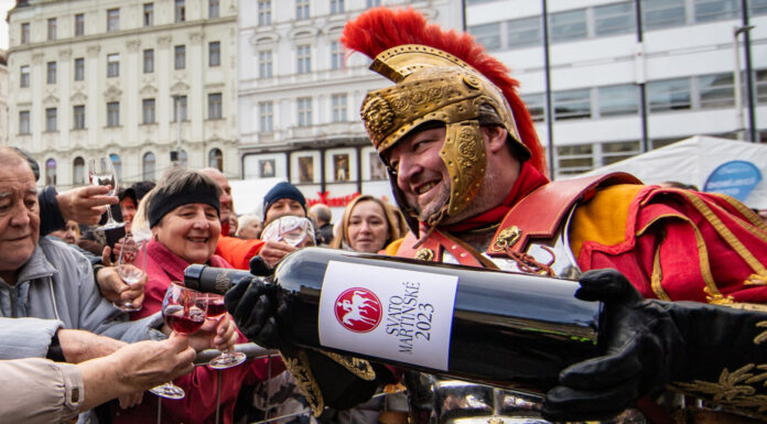 SVATOMARTINSKÉ SLAVÍ 20 LET. Vína 2025: svěží, hravá a z vyrovnaného ročníku