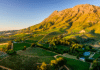 SVĚTOVÁ PRODUKCE VÍNA 2025 mírně vzrostla. Podobu sklizně znovu ovlivnily klimatické výkyvy Jihoafrický region Stellenbosch a vinařská krajina kolem vinařství Thelema