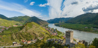 Kde proudí víno, tam roste ekonomika. Rakousko je toho důkazem