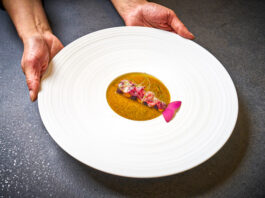 Česko v gurmánské šestnáctce. Michelin zařadil českou gastronomii mezi elitní světové kuchyně pro rok 2026 PAPILIO ZÍSKALO CELKEM DVĚ HVĚZDY