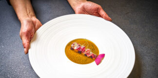 Česko v gurmánské šestnáctce. Michelin zařadil českou gastronomii mezi elitní světové kuchyně pro rok 2026 PAPILIO ZÍSKALO CELKEM DVĚ HVĚZDY