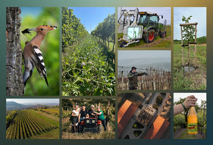 Grey Simple Fashion Mood Board A4 Landscape - 1