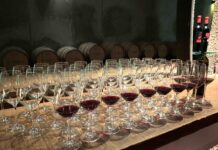 Poslední šance přihlásit Frankovku do soutěže, která vstoupí do historie Degustace Frankovek Rakousko