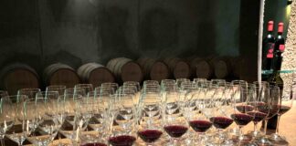 Poslední šance přihlásit Frankovku do soutěže, která vstoupí do historie Degustace Frankovek Rakousko