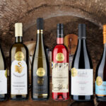 SALON VÍN ČR představil stovku nejlepších vín pro rok 2026. Brány otevře poslední lednový den