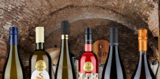 SALON VÍN ČR představil stovku nejlepších vín pro rok 2026. Brány otevře poslední lednový den