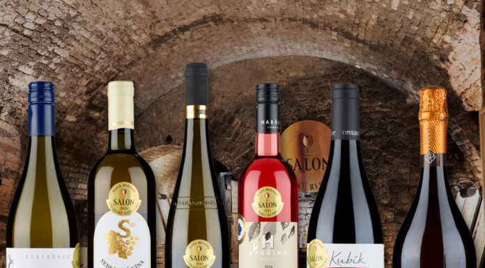 SALON VÍN ČR představil stovku nejlepších vín pro rok 2026. Brány otevře poslední lednový den